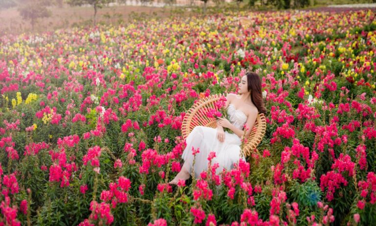 The Florest Hoa Trong Rừng: Sẽ ra sao nếu những cánh rừng nguyên sinh xanh thẳm hùng vĩ nơi phố núi được giữ gìn và tô điểm bằng muôn vàn những triền hoa? Mong những bước chân ghé nơi đây sẽ luôn cảm thấy hân hoan nhẹ nhõm, rời xa những hối hả mệt nhoài, ôm vào lòng từng hơi thở trong vắt và chữa lành tâm hồn với nguồn năng lượng thuần khiết