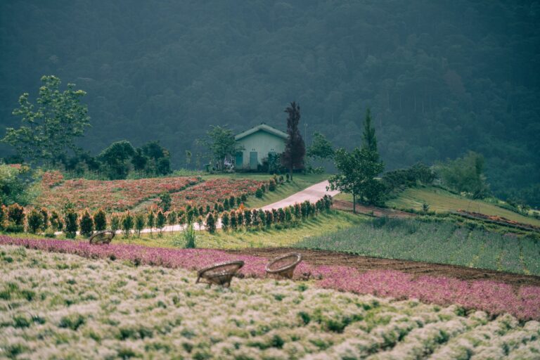 The Florest Hoa Trong Rừng: Sẽ ra sao nếu những cánh rừng nguyên sinh xanh thẳm hùng vĩ nơi phố núi được giữ gìn và tô điểm bằng muôn vàn những triền hoa? Mong những bước chân ghé nơi đây sẽ luôn cảm thấy hân hoan nhẹ nhõm, rời xa những hối hả mệt nhoài, ôm vào lòng từng hơi thở trong vắt và chữa lành tâm hồn với nguồn năng lượng thuần khiết